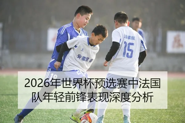 2026年世界杯预选赛中法国队年轻前锋表现深度分析